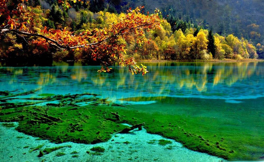 Chongqing renewal journey with Jiuzhaigou wellness route