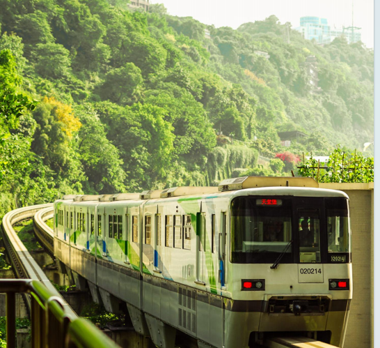 Chongqing Landmark City Tour