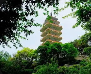 Second TCM Therapy Session & Heritage Wellness Workshop