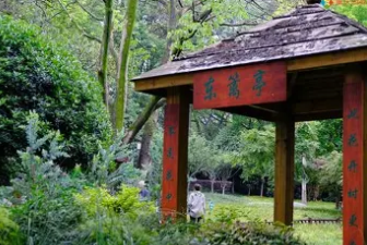 Second TCM Therapy Session & Heritage Wellness Workshop