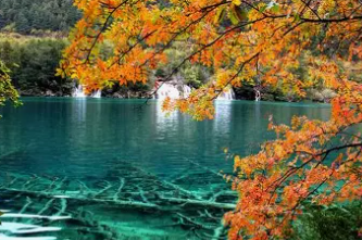 Chongqing to Jiuzhaigou Scenic Transfer